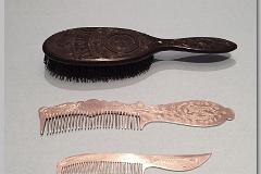 MAGNETIC BRUSH AND COMBS