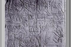 EGYPTIAN CIRCUMCISION